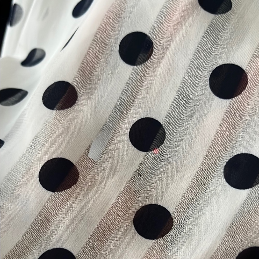 Polka Dot Ruffle Blouse - Picture 6 of 6